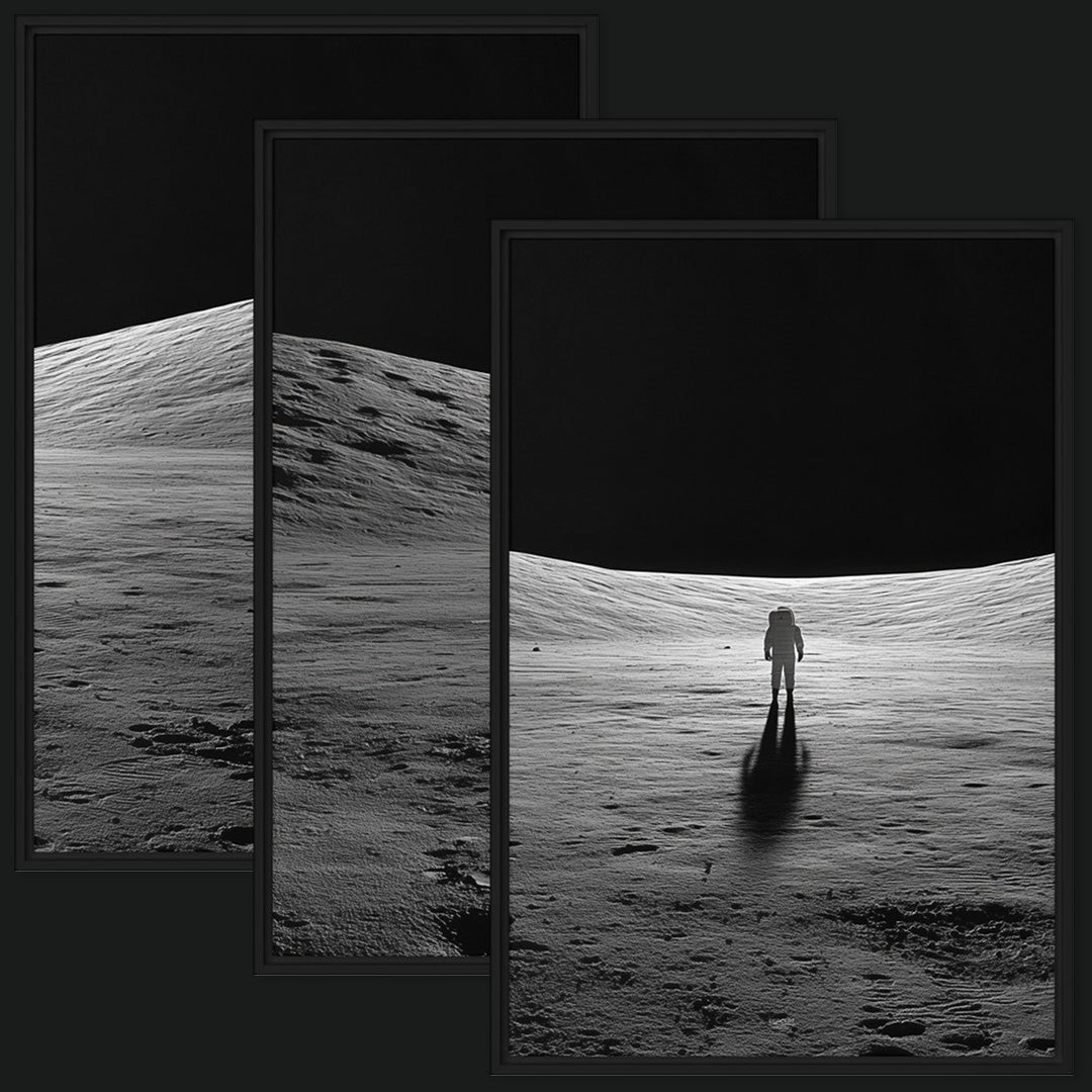 Framed Bundle View