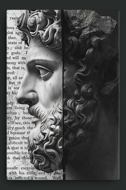 Book 6, Passage 19