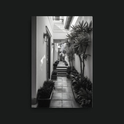 Poverty in Richness artwork view: a monochrome bright passage lined with plants and steps.
