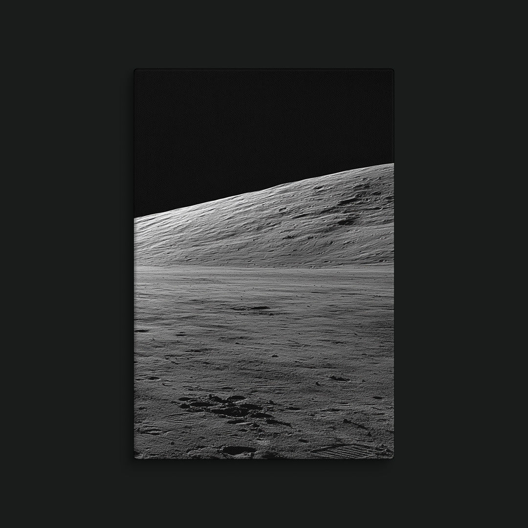 Canvas View