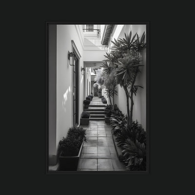 Poverty in Richness framed artwork view: a monochrome bright passage lined with plants and steps.